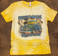 Country Roads Take Me Home Bleached Tee